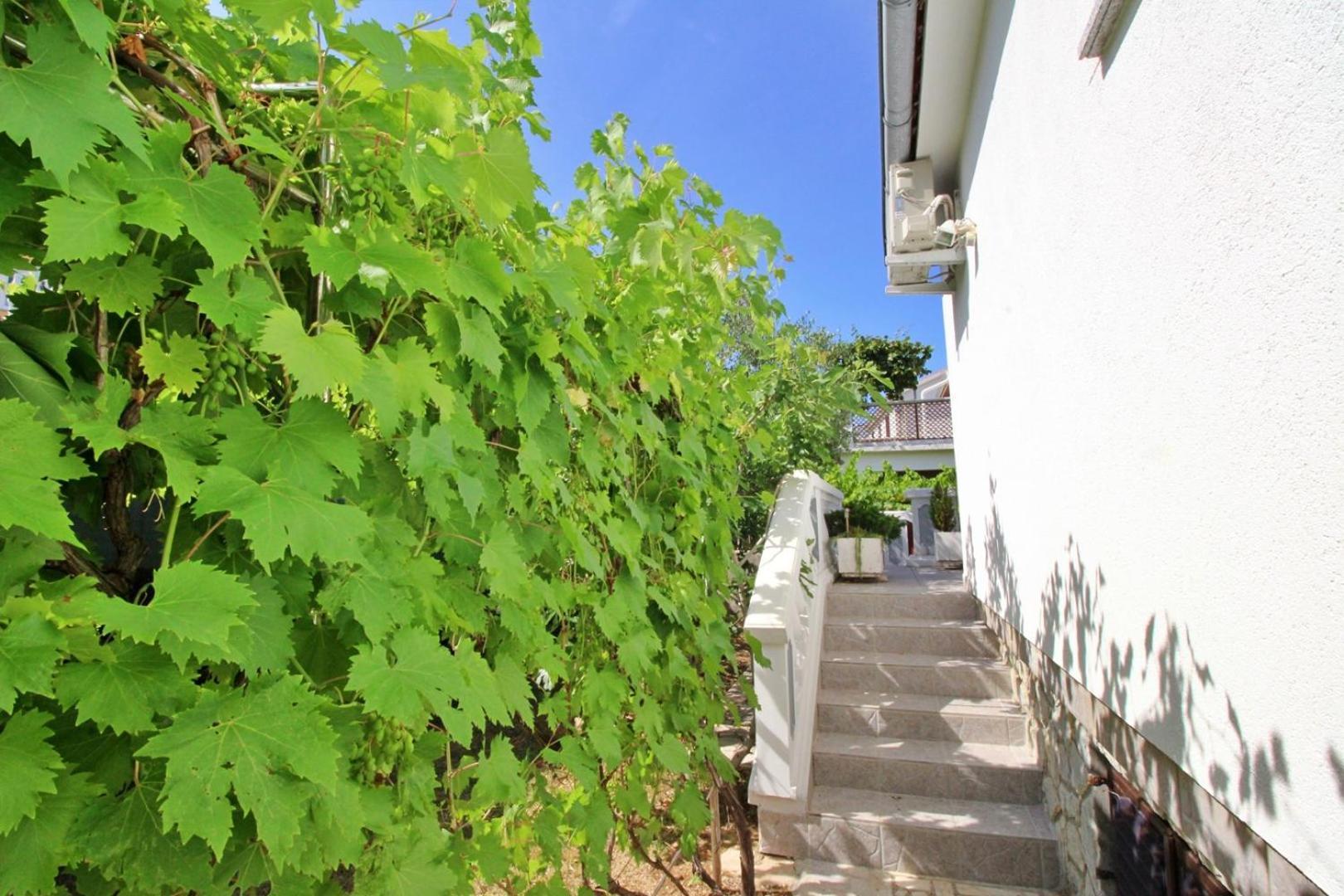 Apartments Zlatica Šilo Extérieur photo